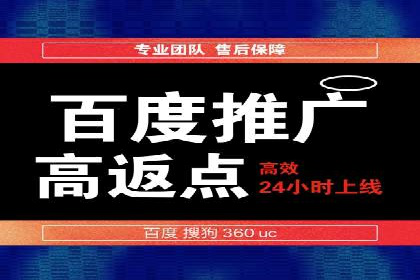 SEM代理操作技巧：成功案例揭秘
